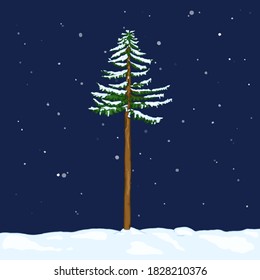 Vector Cartoon Evergreen Pine Tree in Snowy Winter Night. Evergreen Conifer Tree