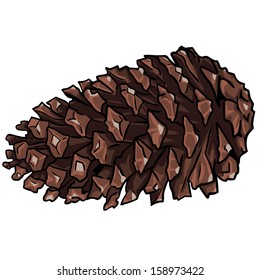 vector cartoon fir-cone