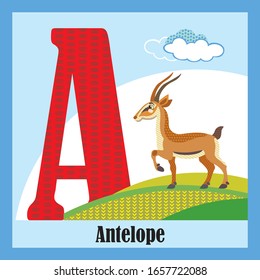 Vector Cartoon Flashcards Of Animal Alphabet, Letter A. Colorful Cartoon Illustration Of Letter And Antelope Vector Character. Bright Colors Zoo Wildlife Illustration. Cute Flat Cartoon Style. 