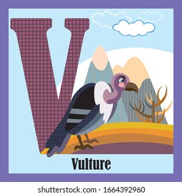 Vector Cartoon Flashcards Of Animal Alphabet, Letter V. Colorful Cartoon Illustration Of Letter V And Vulture Vector Character. Bright Colors Zoo Wildlife Illustration. Cute Flat Cartoon Style.