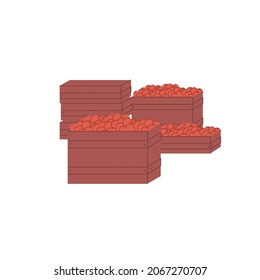 Vector cartoon flat boxes with harvested tomatoes isolated on empty background-organic,farming,agricultural concept,web site banner ad design