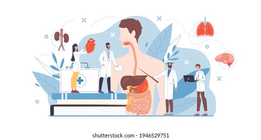 Vector cartoon flat doctor characters at work in uniform,lab coats study human internal organs,heart,intestines,liver-disease prevention,medical meeting,conference