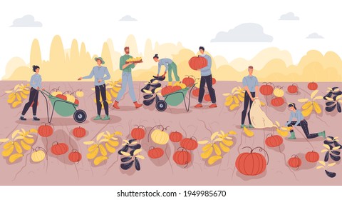 Vector cartoon flat farmer characters harvesting,people workers harvest pumpkins vegetables with farm equipment tools-ecological,organic,agriculture concept for web online banner,ad,site design