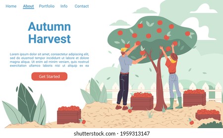 Vector cartoon flat farmer characters harvesting,people workers harvest apples in autumn season-natural,organic farming,agriculture concept for web online landing page template,site design