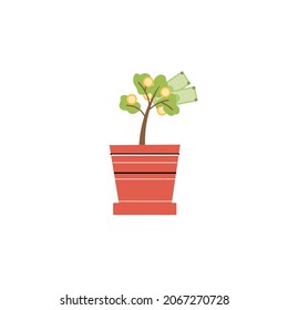 Vector Cartoon Flat Growing Small Money Tree In Pot Isolated On Empty Background-financial Investments Metaphor,money Profit Income Concept For Web Online Banner,ad,site Design