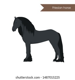 vector cartoon flat illustration of breed of friesian horse