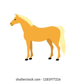 vector cartoon flat palomino horse standing on white background isolated