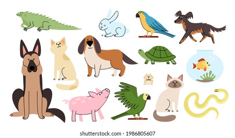 Vector cartoon flat set of home animal pets