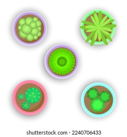Vista superior de la maceta de flores de dibujos animados. Un bonito elemento de diseño. El concepto de pequeñas plantas y su cuidado