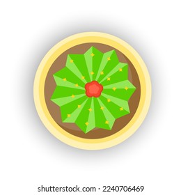 Vector cartoon flower pot top view. A beautiful design element. The concept of small plants and their care.