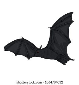 Vector Cartoon Flying Black Bat Illustration.