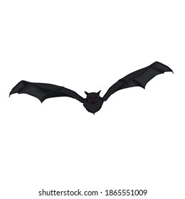 Vector Cartoon Flying Black Bat Illustration. Front View.