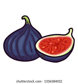 Vector Cartoon Fresh Blue Fig Fruit