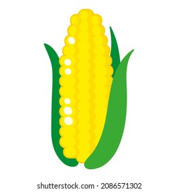 Vector cartoon fresh corn vegetable. Eco food shopping.
