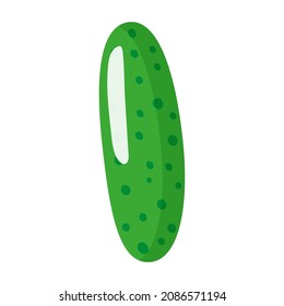 Dibujo vectorial de hortaliza fresca de pepino. Compra de alimentos ecológicos.