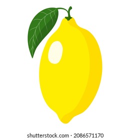 Vector cartoon fresh lemon fruit. Eco food shopping.