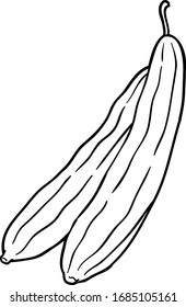 Dibujo vectorial Fresca Loofah Línea de arte vegetal