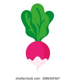 Vector cartoon fresh radish vegetable. Eco food shopping.