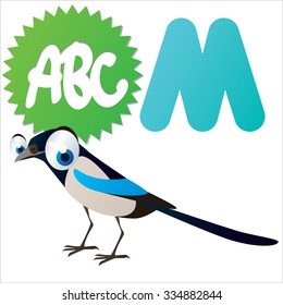 vector cartoon funny animals alphabet: M is for Magpie