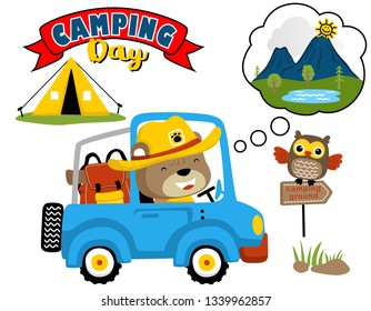 Vector cartoon of funny bear driving car, owl perch on signpost, camping element illustration