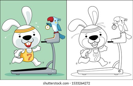 Vector cartoon of funny bunny run on treadmill, bird holding timer, coloring book or page