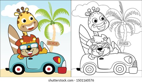 Vector cartoon of funny giraffe with lion on car going to beach. Coloring book or page
