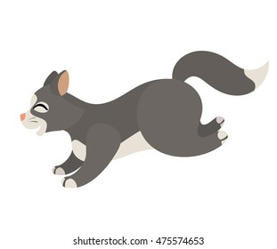 Vector cartoon funny grey cat