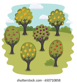 Vector cartoon funny illustration of garden with fruit trees: apple, peach, lemon, cherry, plum, pear. Summer nature landscape