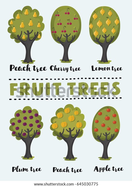 Images et noms d'arbres fruitiers