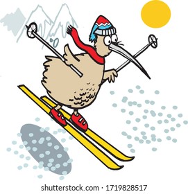 Vector cartoon of funny kiwi skiing down mountain slope