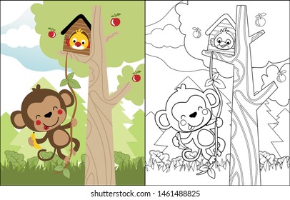 vector cartoon of funny monkey with bird in cage on tree, coloring book or page