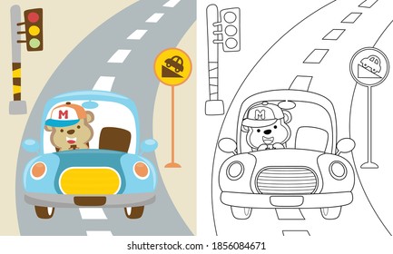 Vector cartoon of funny monkey driving car in the road, coloring book or page