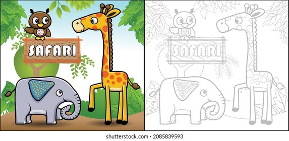 Vector cartoon of funny safari animals. Giraffe, elephant and owl. Coloring book or page