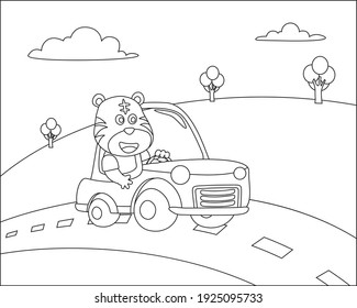 Caricatura vectorial del divertido coche de conducción de tigres en la carretera con el paisaje del pueblo. Ilustración vectorial aislada de dibujos animados, Diseño infantil vector creativo para la actividad infantil libro o página de coloración.