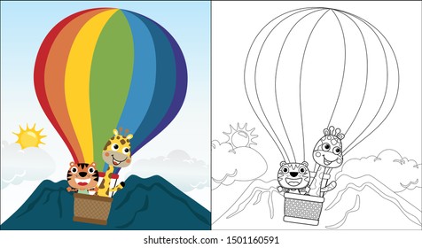 Vector cartoon of funny tiger with giraffe on hot air balloon, coloring book or page