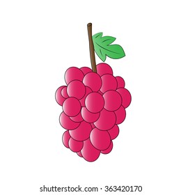 Vector cartoon grape on white background.