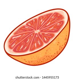 Vector Cartoon Grapefruit Half Cut
