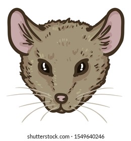 Vector Cartoon Gray Mouse Portrait