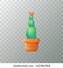 vector cartoon green cactus in pot isolated on transparet background. funny houseplant icon 