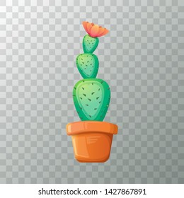 vector cartoon green cactus in pot isolated on transparet background. funny houseplant icon 