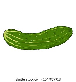 Vector Cartoon Green Cucumber