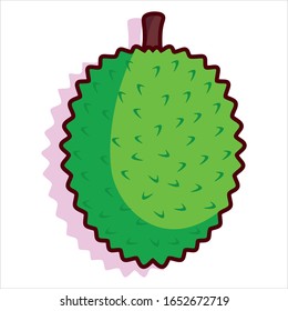 Vector Cartoon Green Durian Fruit with Thorns Isolated