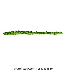 Vector Cartoon Green Grass on White Background