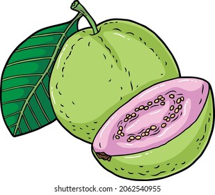 Vektor Cartoon Green Guava Frucht