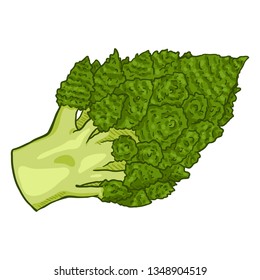 Vector Cartoon Green Romanesco Cauliflower