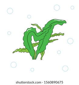 Vector cartoon green sea kale.
