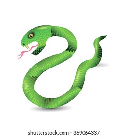 Vector Cartoon Green Snakes