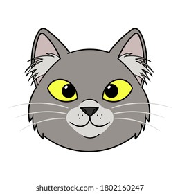 Vector Cartoon Grey Cat Illustration