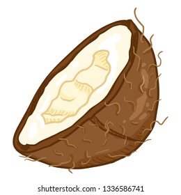 Vector Cartoon Half Cut Coconut