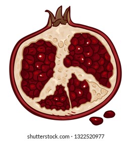 Vector Cartoon Half of Pomegranate with Red Seeds